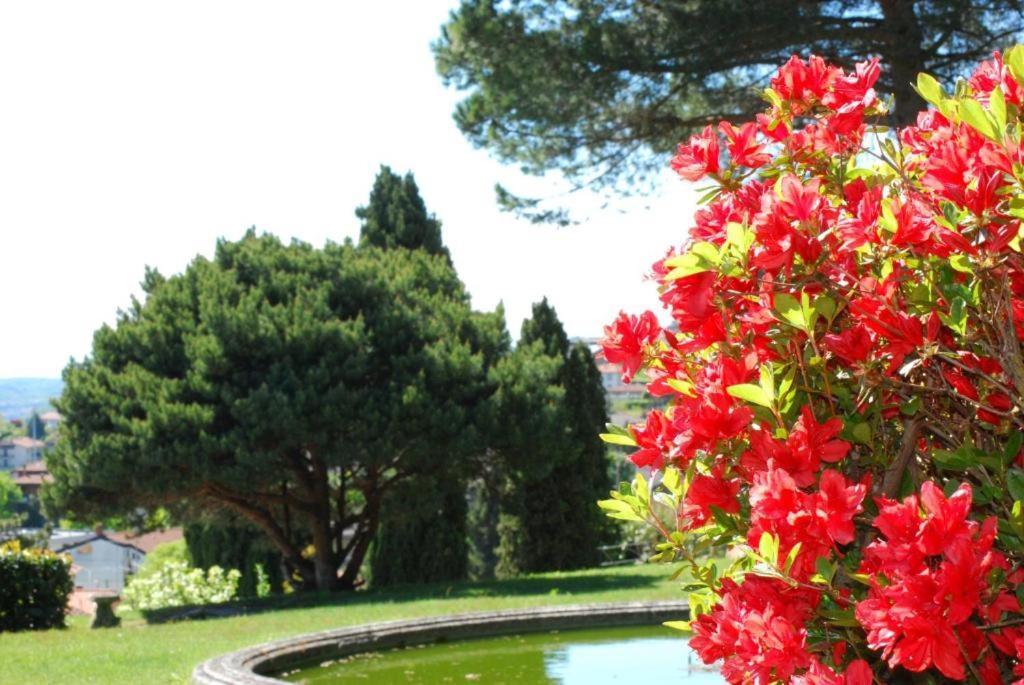 Villa Rossini Tavernerio Zewnętrze zdjęcie
